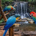 Foz do Iguaçu, muito além das cataratas